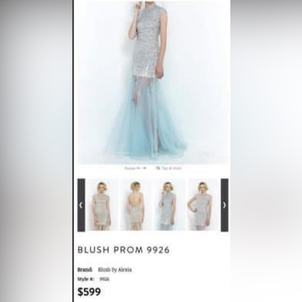 Blush by Alexia Blue and Silver Gown